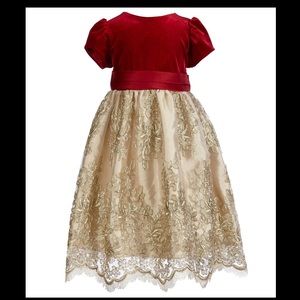 Girls Velvet/Embroidered Mesh Fit-And-Flare Dress 
Size 6